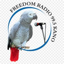 Freedom Radio Kano